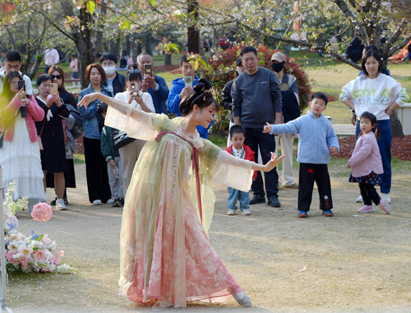 清明假期期間,上海顧村公園櫻花島上,游客在觀賞國風(fēng)漢服快閃表演。(圖片來源:視覺中國)