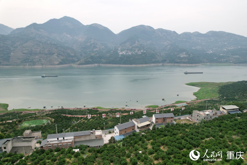 三沱村正以“三峽橙莊”建設(shè)為契機，描繪鄉(xiāng)村振興新圖景。人民網(wǎng)記者 劉政寧攝