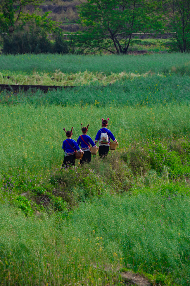世外桃源春光好。網(wǎng)友“二流攝影師”攝