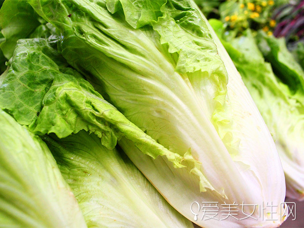 時(shí)令野菜| 美味健康兼顧的春之饗宴