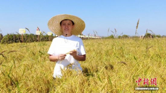 全國人大代表、寧安市渤海鎮(zhèn)上官地村黨支部書記、村委會主任陳雨佳在稻田中。 受訪者供圖